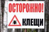 Осторожно клещи!