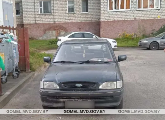 В Рогачеве водитель на легковушке сдавал назад и наехал на пешехода