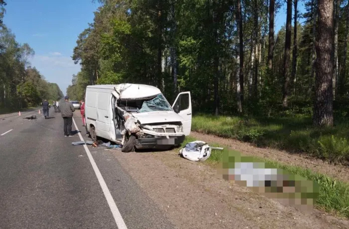 В Рогачевском районе в ДТП погиб пассажир