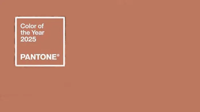 Pantone назвал Mocha Mousse цветом 2025 года
