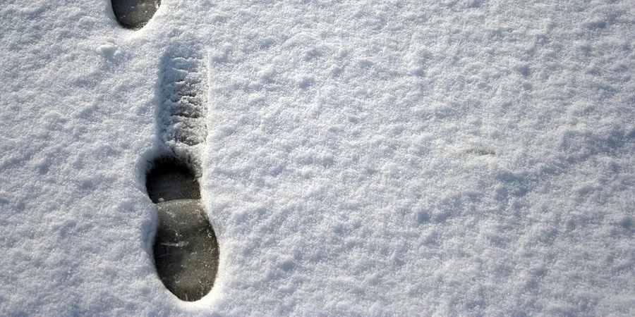 Облачно и до +3°C прогнозируется в Гомеле 20 декабря 