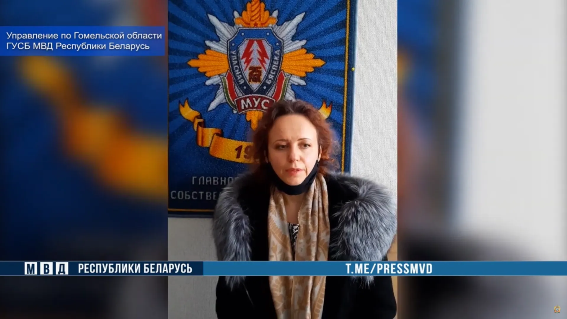 Установлена гомельчанка, оскорбившая в телеграм-канале сотрудника ОВД Светлогорского райисполкома