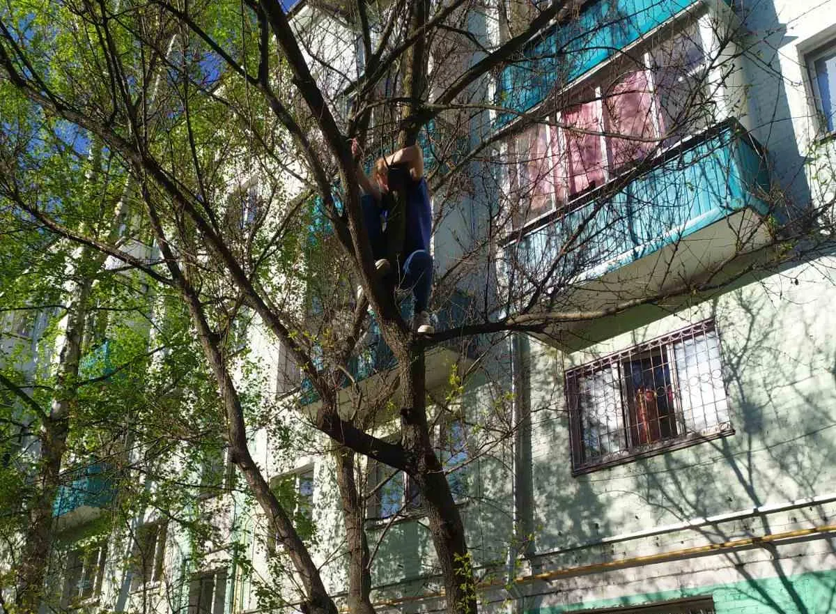 В Гомеле 12-летняя девочка залезла на дерево за мячом. Снимали ее уже спасатели