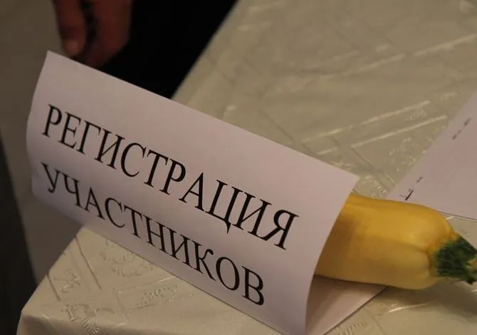 Несмотря на сложные погодные условия, регион будет обеспечен овощами