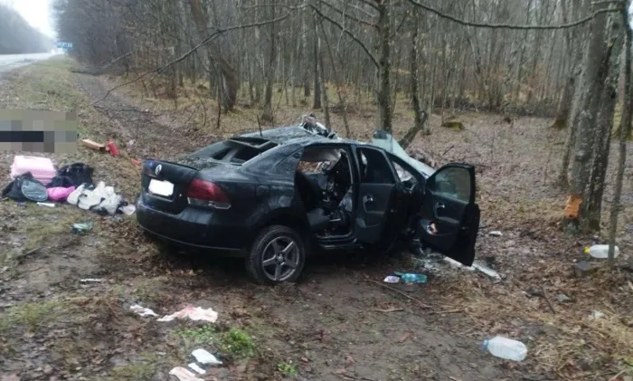В Добрушском районе «Фольксваген» наехал на дикое животное: один человек погиб и трое получили травмы