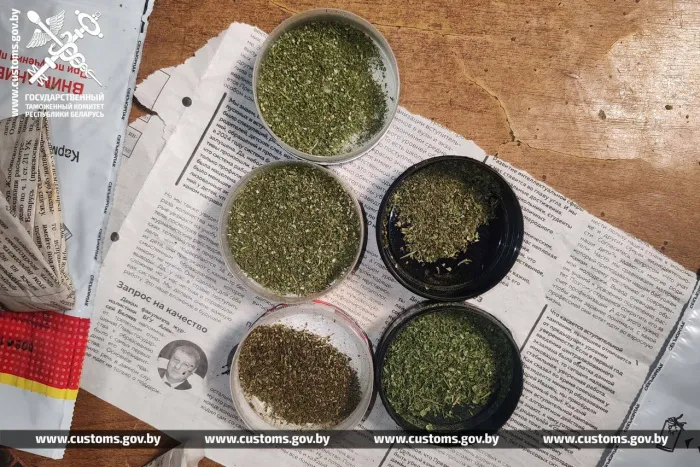 Гомельские таможенники изъяли у жителя Жлобина около 2 кг марихуаны