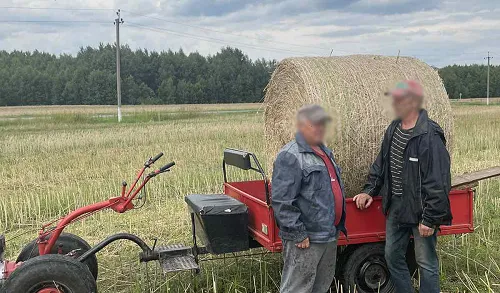 В Добрушском районе безработный житель похитил с поля местного агросервиса тюк соломы