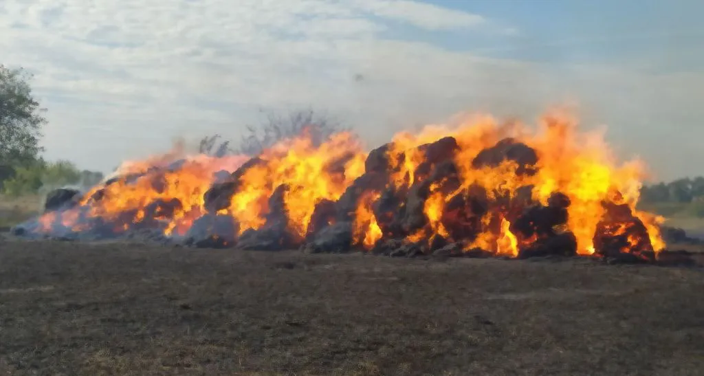 На поле в Добрушском районе сгорели 67 рулонов соломы и 17 тюков сена