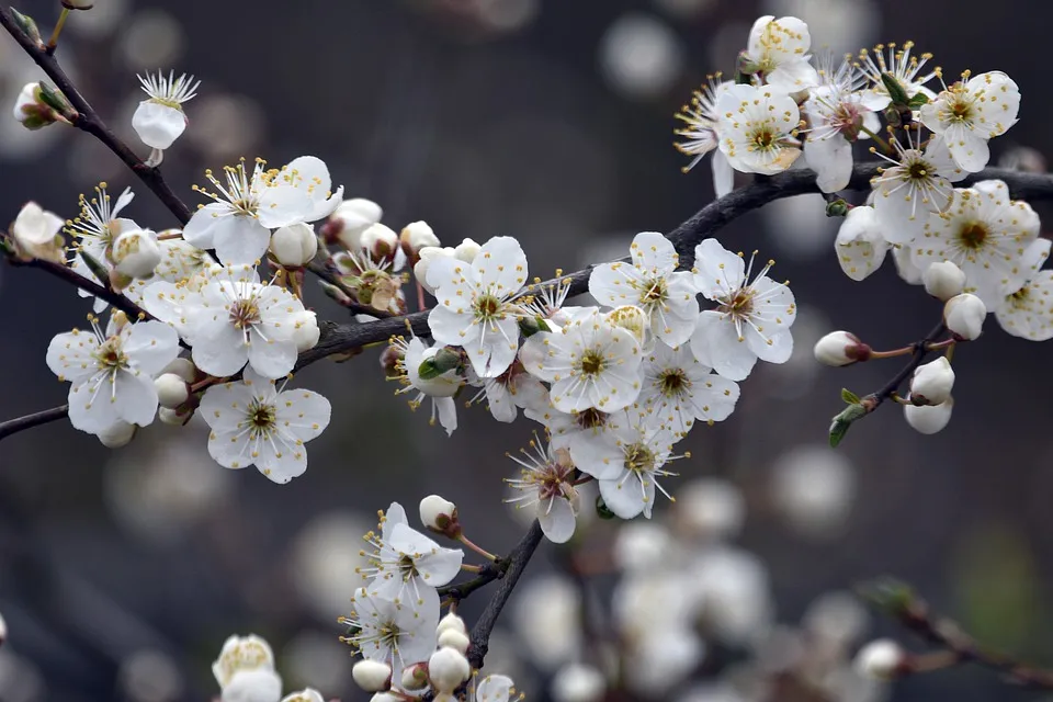 В Гомеле 7 мая ожидается кратковременный дождь и до +14°С