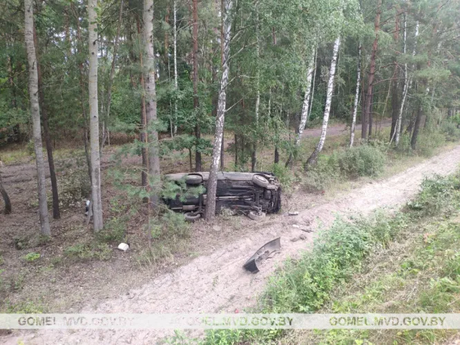 В Наровлянском районе водитель отвлеклась на ребёнка и съехала в кювет