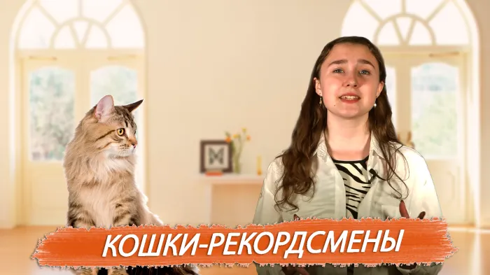 ПравдаБлог. Кошки-рекордсмены