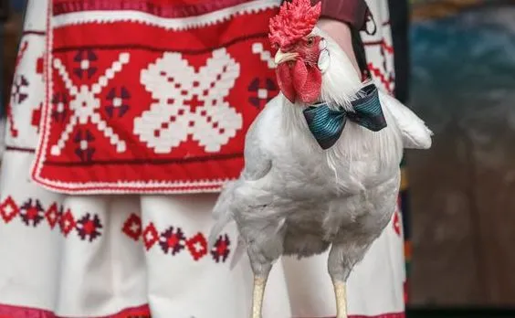 Масленица в Гомеле