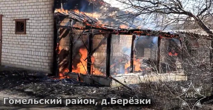С начала года на Гомельщине зафиксировано 180 пожаров в природных экосистемах