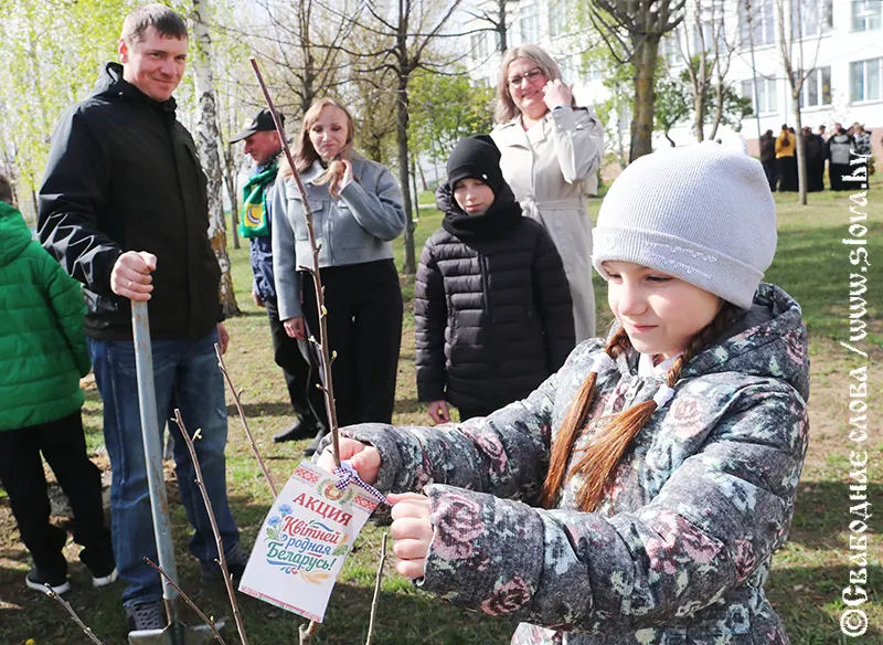 Рогачевцы присоединились к республиканской акции «Квiтней, родная Беларусь!»