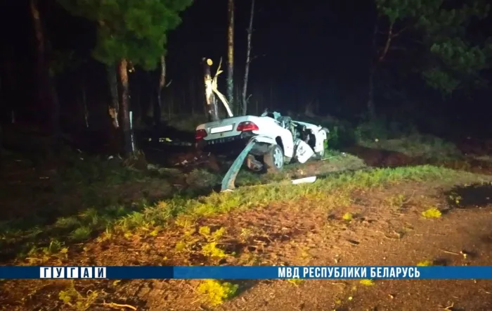 В Петриковском районе автомобиль съехал в кювет и врезался в дерево. Водитель погиб