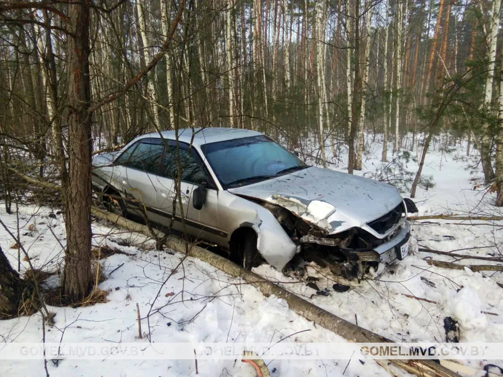 В Житковичском районе бесправник не справился с управлением и врезался в дерево. Он в реанимации