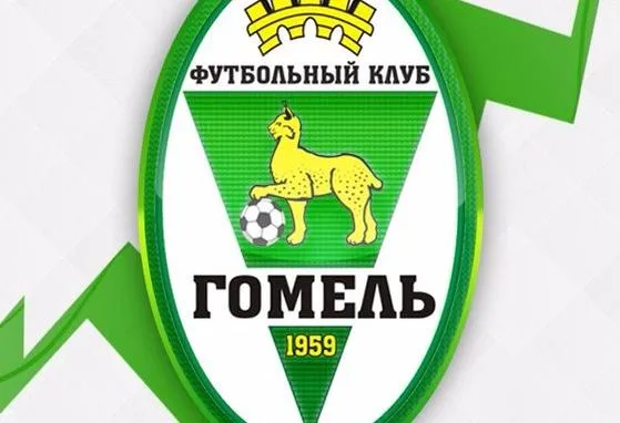 Болельщики выберут самый красивый гол ФК «Гомель» в минувшем чемпионате страны