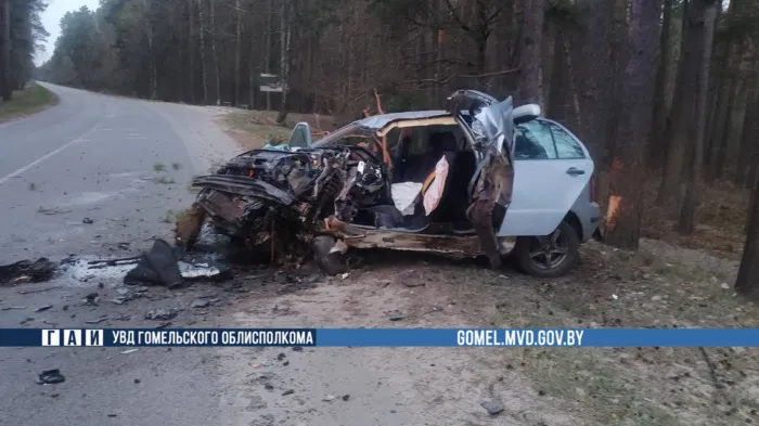 За выходные и утро понедельника в двух районах Гомельской области произошли ДТП. Есть пострадавшие