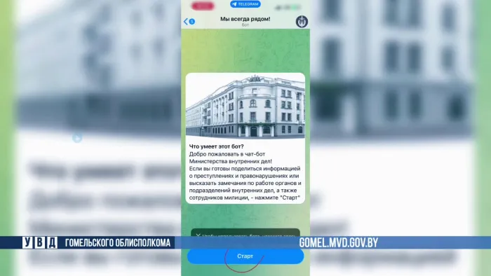 Чат-бот Министерства внутренних дел "Мы всегда рядом" функционирует на Гомельщине