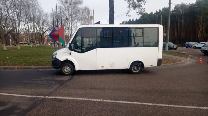 В Гомеле при экстренном торможении автобуса пострадала пенсионерка