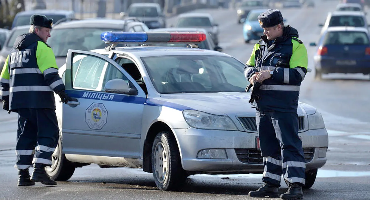 В Речице инспекторы ГАИ задержали вора
