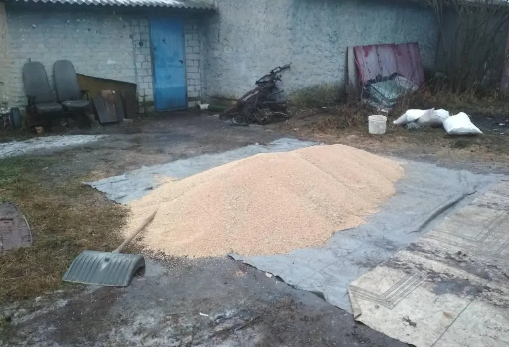 В Рогачевском районе водитель присвоил тонну зерна пшеницы для корма будущего домашнего скота