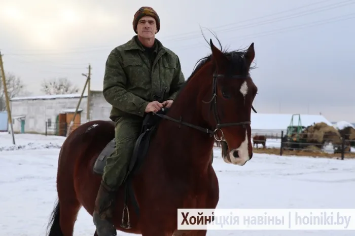 Журналист районки навестила лошадей в Воротце и прокатилась на Бантике
