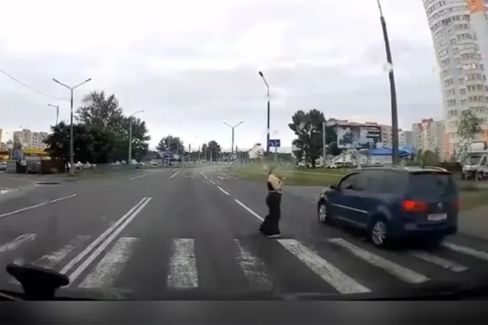 В Гомеле водитель иномарки не пропустил пешехода, создав аварийную ситуацию. Его привлекли к ответственности
