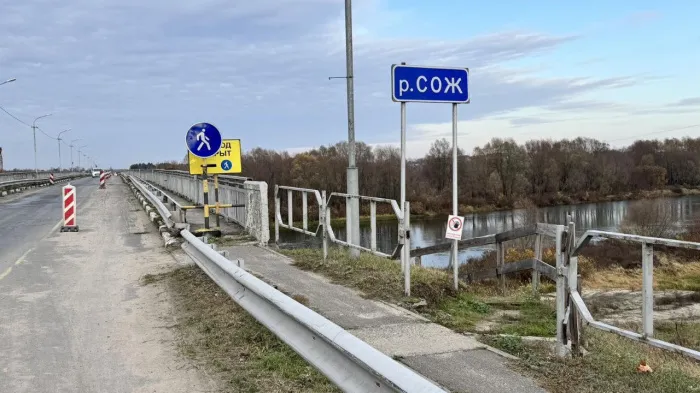 В Ветке пьяный мужчина свалился с автомобильного моста, но чудом уцелел. Что произошло?