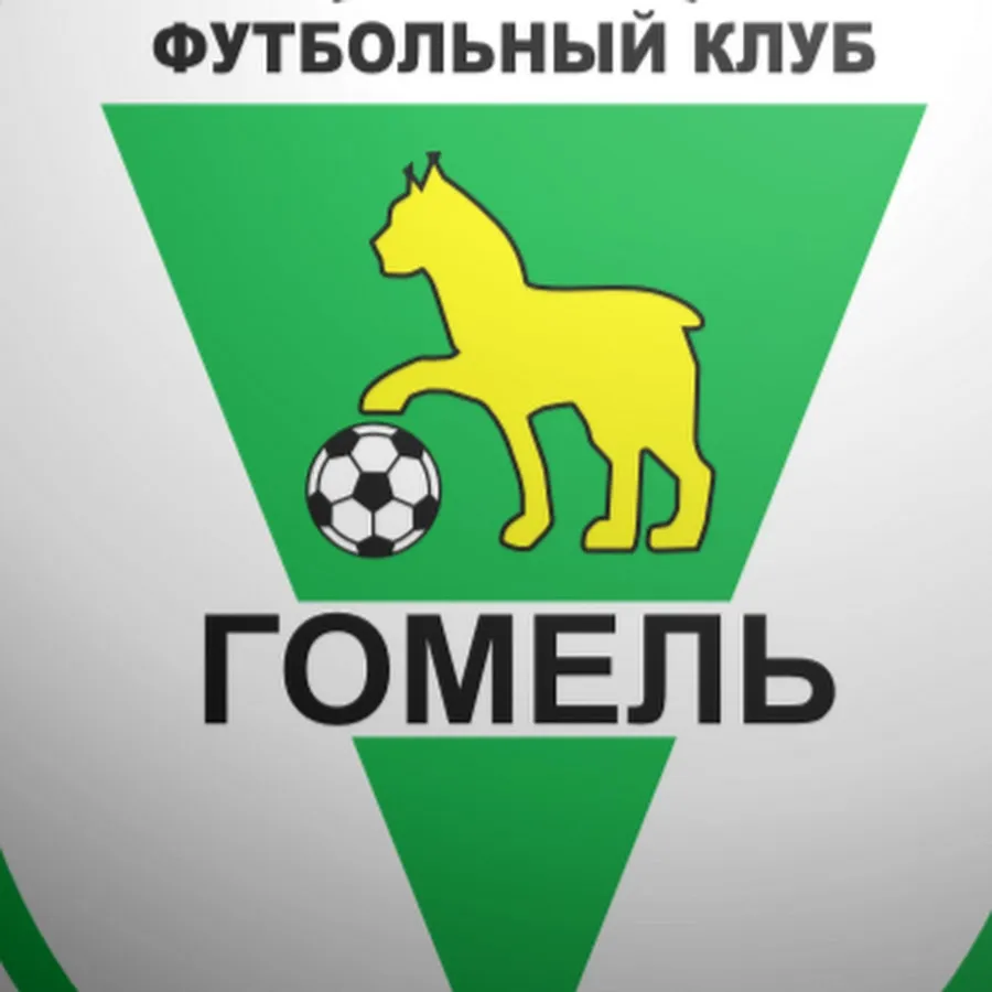 В понедельник 16 января ФК "Гомель" проведет первую тренировку в новом сезоне