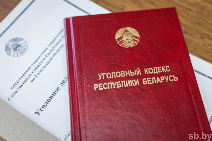 В Гомельском районе сельчанин получил полтора года колонии за угрозу убийством ребенку