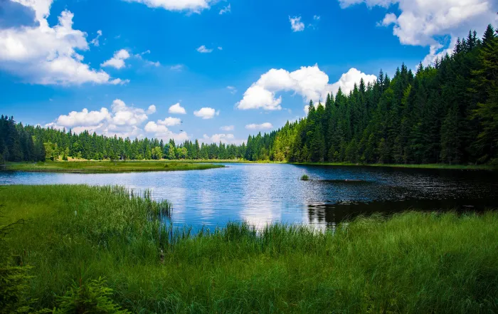 Усадьбы Беларуси. Снять агроусадьбу на сутки