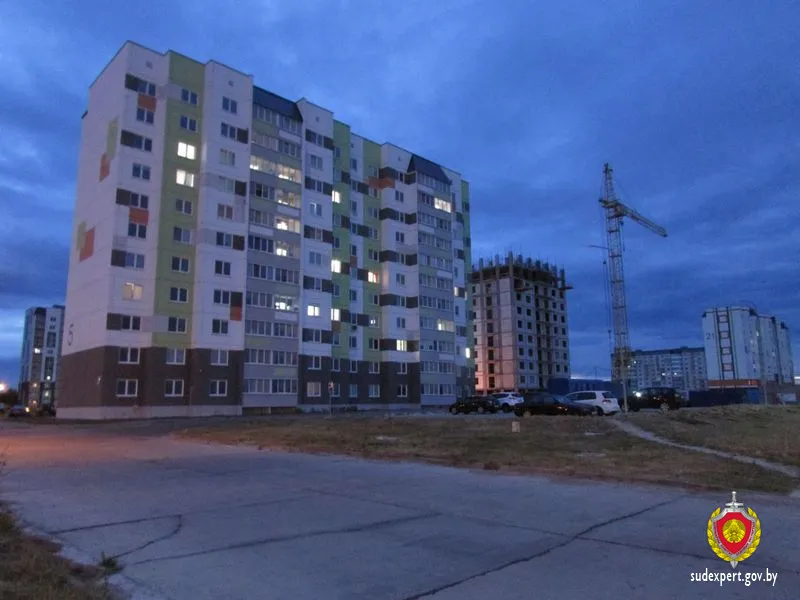 В Мозыре взломали машину и похитили аккумулятор с имуществом. Вора нашли по отпечатку пальца