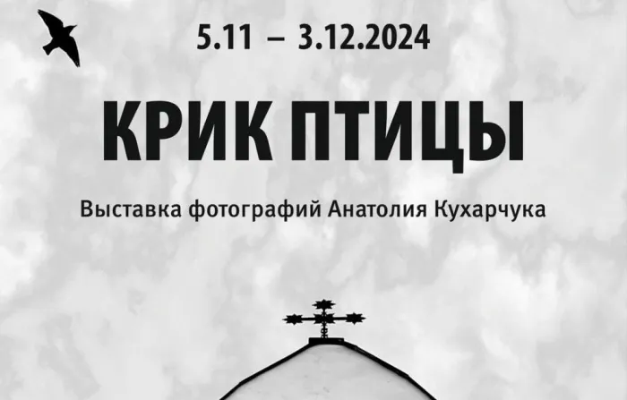 5 ноября в Музее истории печати и фотографии Гомельщины презентовали проект «Крик птицы»