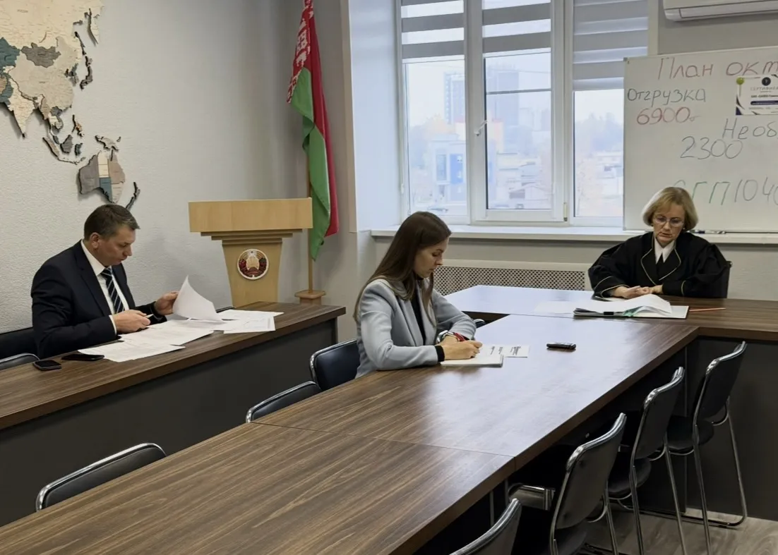 Выполнить план санации: выездное судебное заседание экономического суда Гомельской области прошло на ОАО «САЛЕО-Гомель»