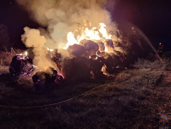 В Добрушском районе на пожаре спасли 72 тонны сена