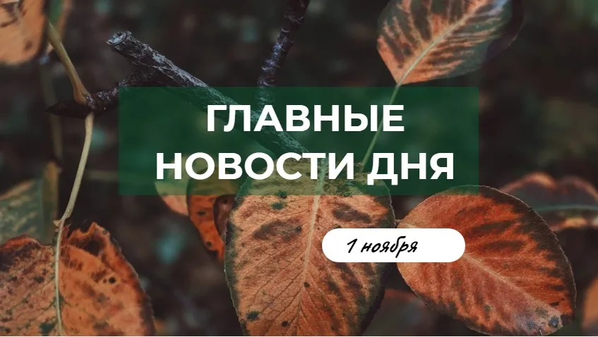 Главные новости дня. 1 ноября 2019 