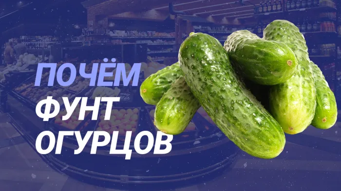ПравдаБлог. Что происходит с ценами на продукты в Беларуси