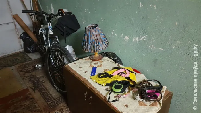 Главней всего порядок в доме