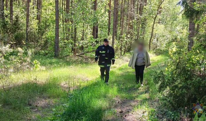 Спасатели нашли пенсионерку, потерявшуюся в лесу в Житковичском районе