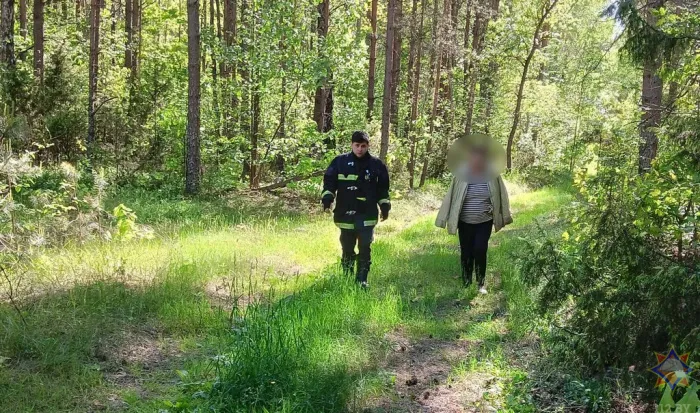 Спасатели нашли пенсионерку, потерявшуюся в лесу в Житковичском районе