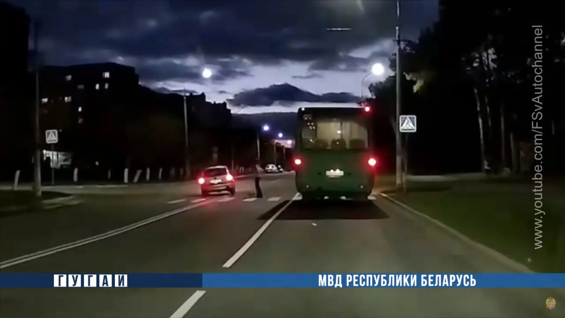 В Светлогорске женщину, которая чуть не сбила девочку на переходе, лишили прав и оштрафовали 
