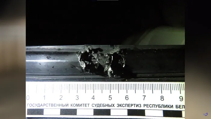 В Калинковичах два брата набросились с бензопилой и ножом на непрошенных гостей, после изуродовали их автомобиль