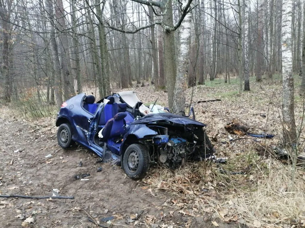 В Речицком районе автомобиль врезался в дерево. Водитель и пассажир госпитализированы