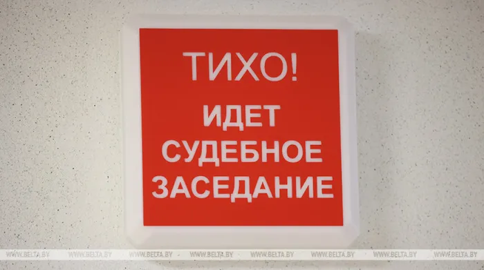 Нетрезвый бесправник на минивене врезался в здание в Буда-Кошелевском районе. Суд вынес приговор