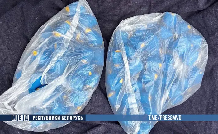 Сотрудники наркоконтроля Гомельщины задержали 26-летнего минчанина
