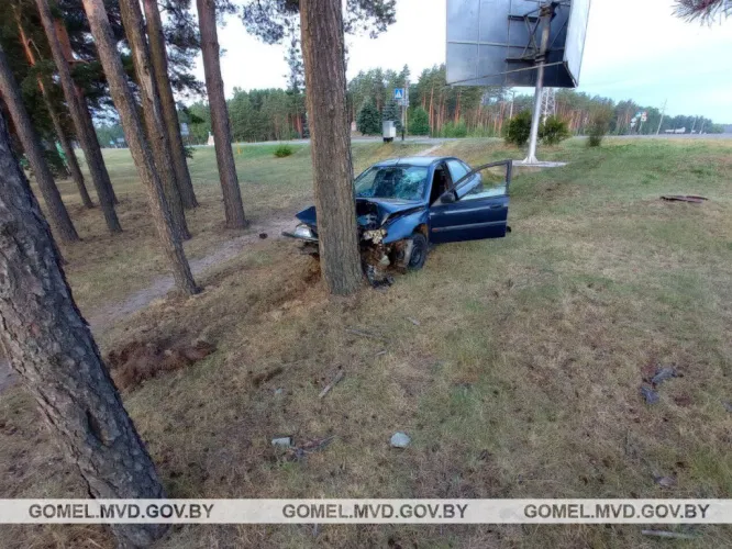 В Гомеле нетрезвый водитель не справился с управлением и въехал в дерево