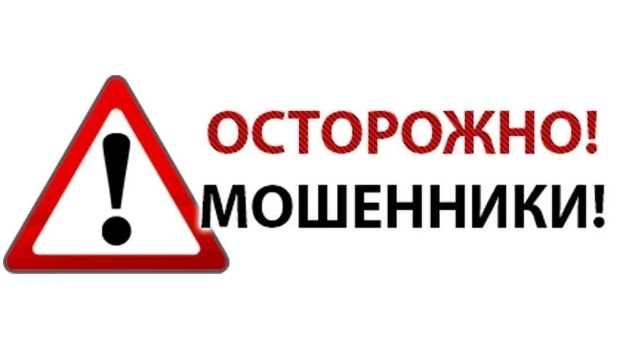 400 рублей и можете собирать чемоданы: в Мозыре задержан мошенник, обманывавший клиентов в интернете