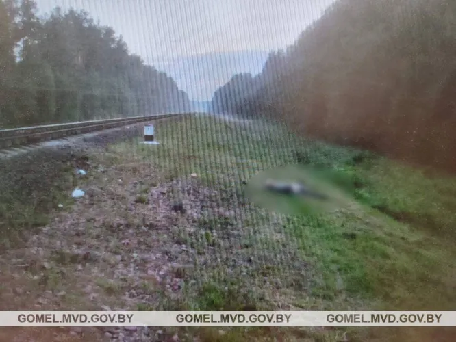 В Рогачевском районе поезд сбил пенсионера