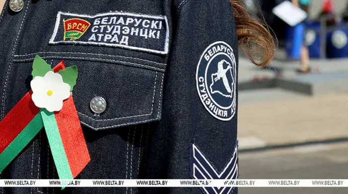 Инструктаж, медосмотр, нормы нагрузки. Минтруда подготовило памятку по безопасной работе студотрядов